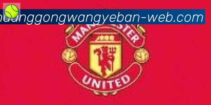 皇宫体育网页版合作伙伴